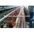 Anping Chicken Cage, Battery Cages Laying Hens, Poultry Farming Equipment